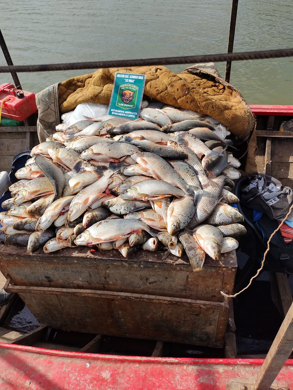 PARTE DE PRENSA: LA DIRECCION GENERAL DE SEGURIDAD RURAL “LOS PUMAS”