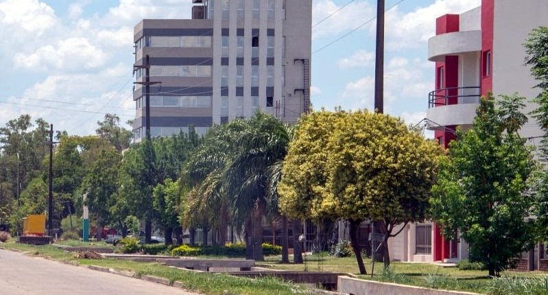 EL ARBOLADO PÚBLICO ES PATRIMONIO DE TODA LA COMUNIDAD