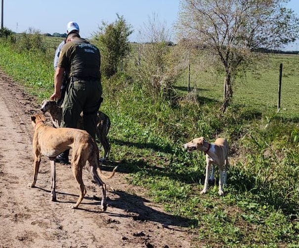 PARTE DE PRENSA: DIRECCION GENERAL DE SEGURIDAD RURAL “LOS PUMAS”