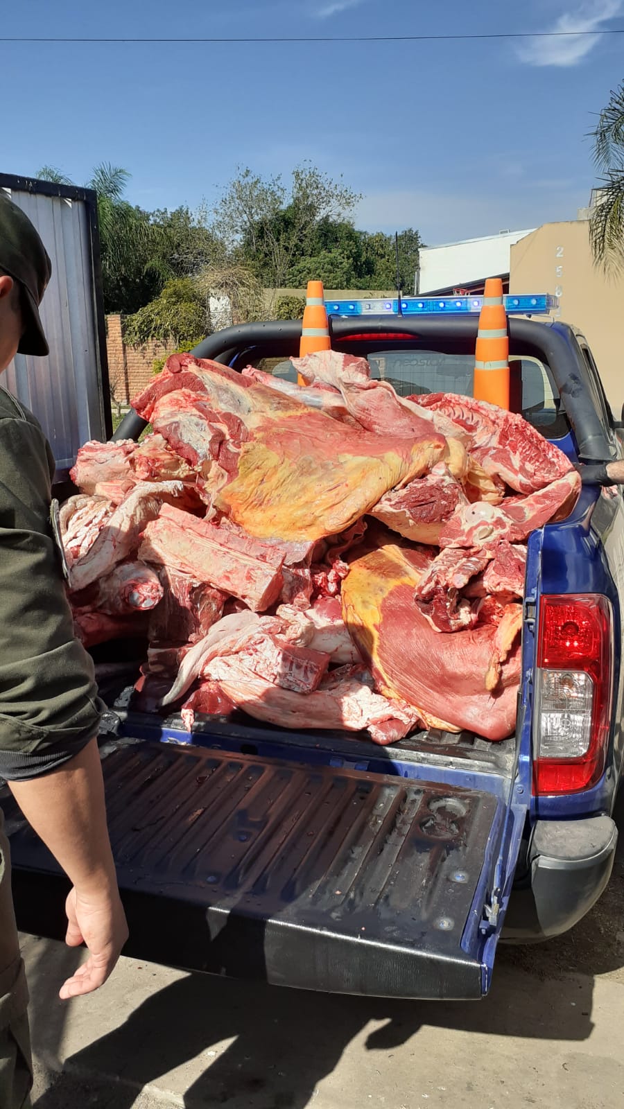 PARTE DE PRENSA: DIRECCION GENERAL DE SEGURIDAD RURAL “LOS PUMAS”