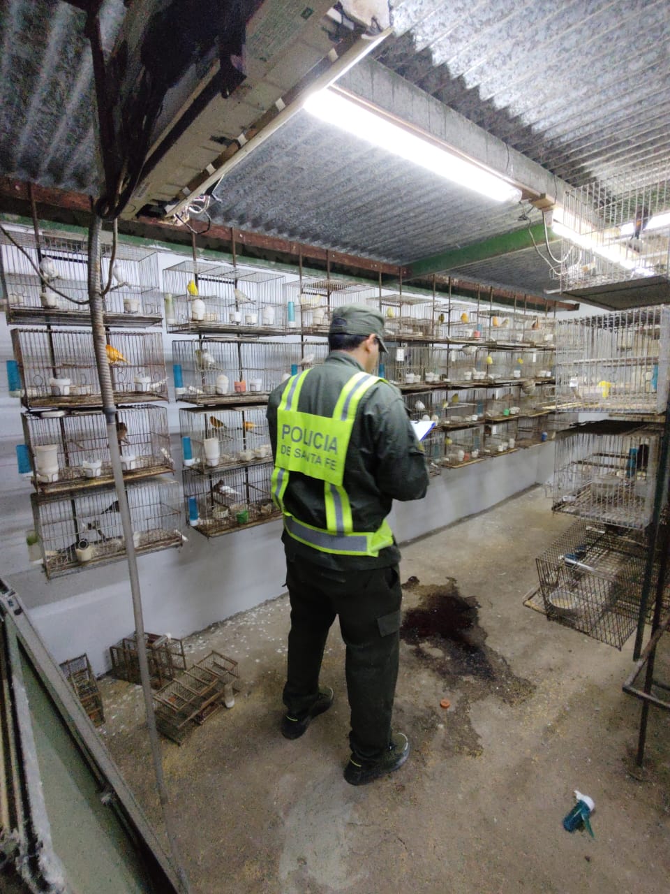 PARTE DE PRENSA: DIRECCION GENERAL DE SEGURIDAD RURAL “LOS PUMAS”