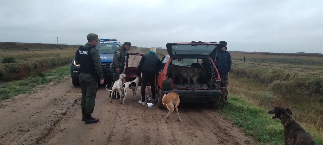 PARTE DE PRENSA: DIRECCION GENERAL DE SEGURIDAD RURAL “LOS PUMAS”