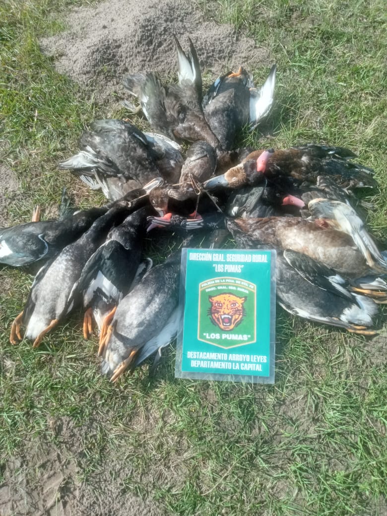 PARTE DE PRENSA: DIRECCION GENERAL DE SEGURIDAD RURAL “LOS PUMAS”