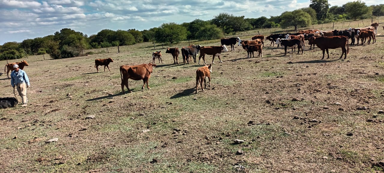PARTE DE PRENSA: DIRECCION GENERAL DE SEGURIDAD RURAL “LOS PUMAS”