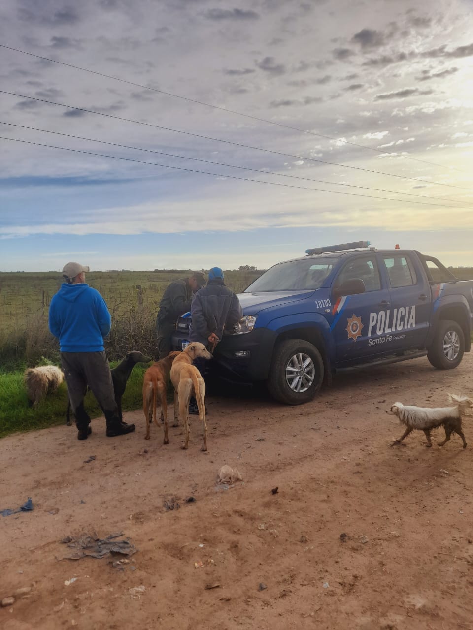 PARTE DE PRENSA: DIRECCION GENERAL DE SEGURIDAD RURAL “LOS PUMAS”