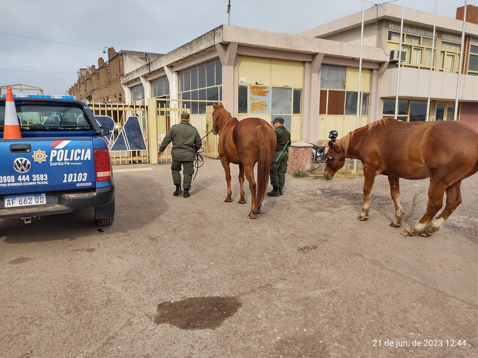 PARTE DE PRENSA: DIRECCION GENERAL DE SEGURIDAD RURAL “LOS PUMAS”