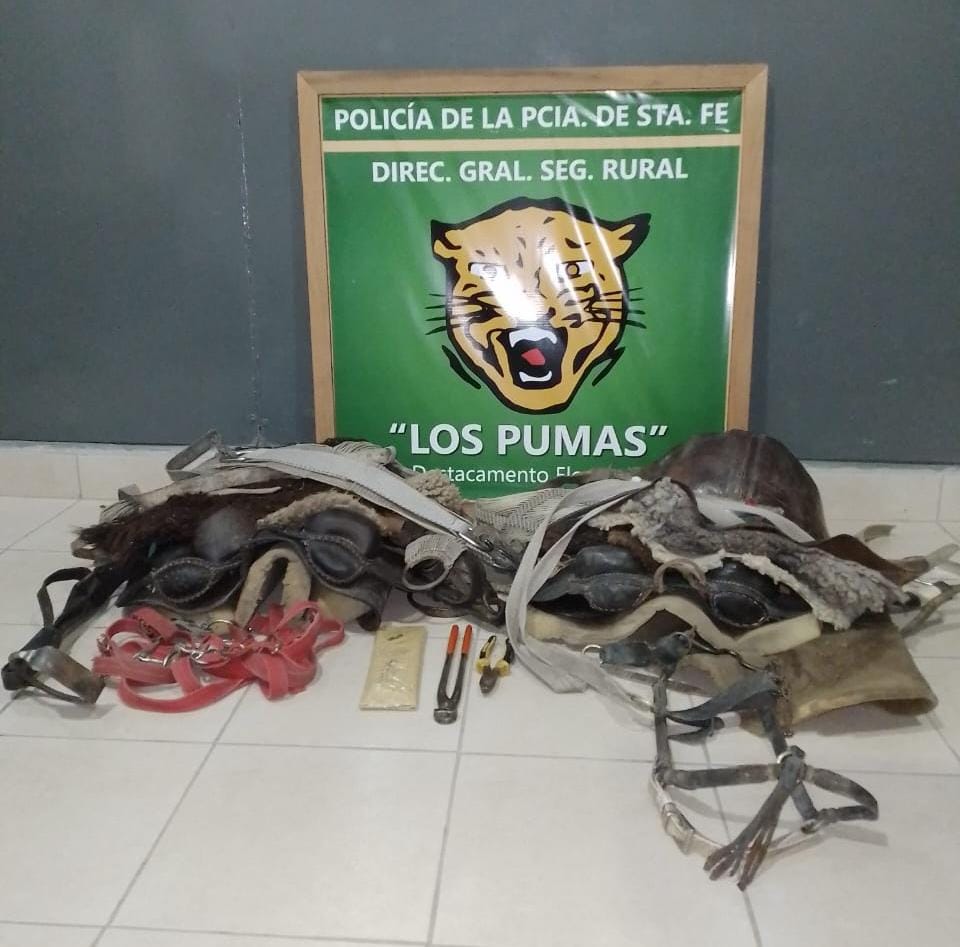 PARTE DE PRENSA: DIRECCION GENERAL DE SEGURIDAD RURAL “LOS PUMAS”