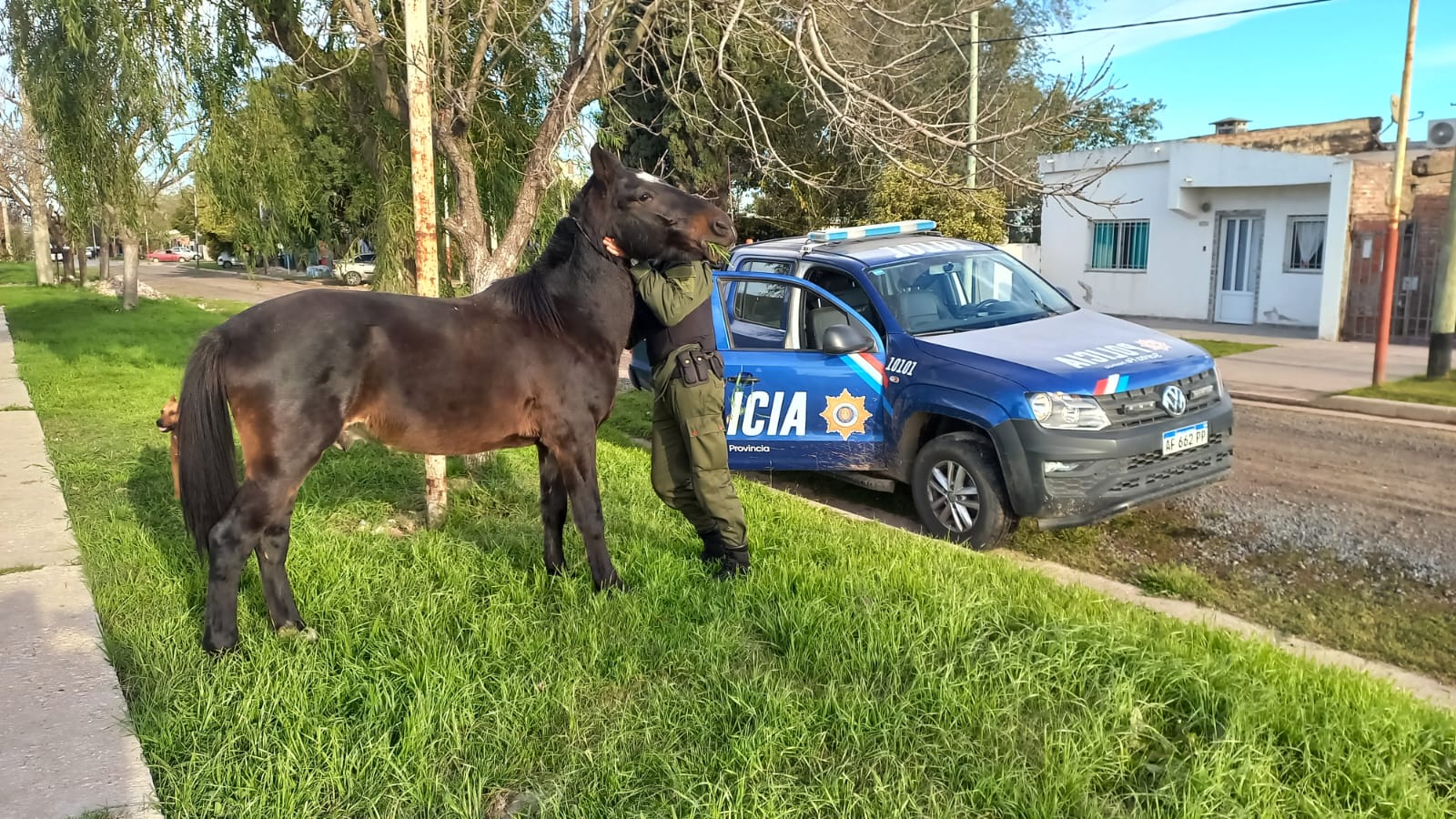 PARTE DE PRENSA: DIRECCION GENERAL DE SEGURIDAD RURAL “LOS PUMAS”