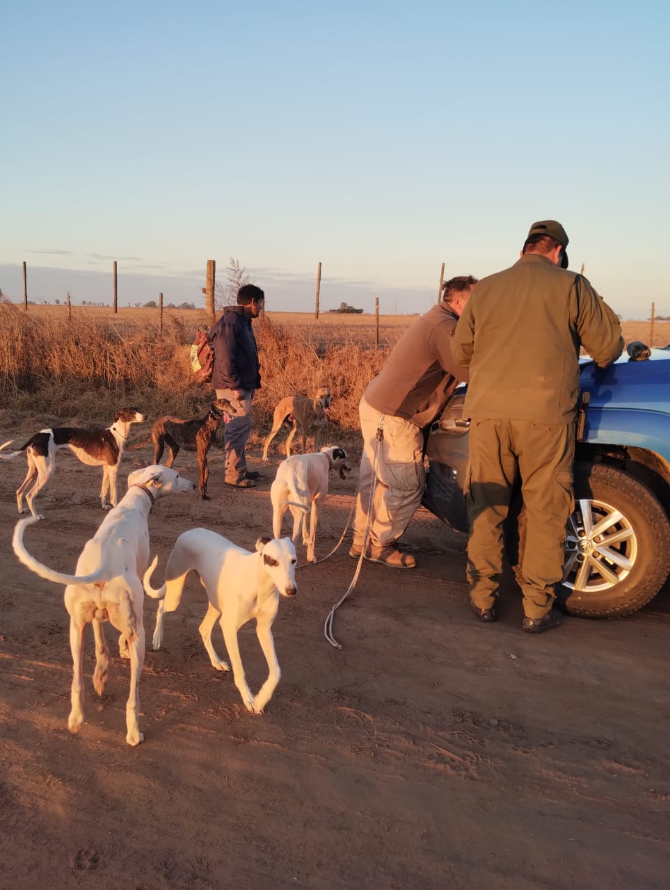 PARTE DE PRENSA: DIRECCION GENERAL DE SEGURIDAD RURAL “LOS PUMAS”