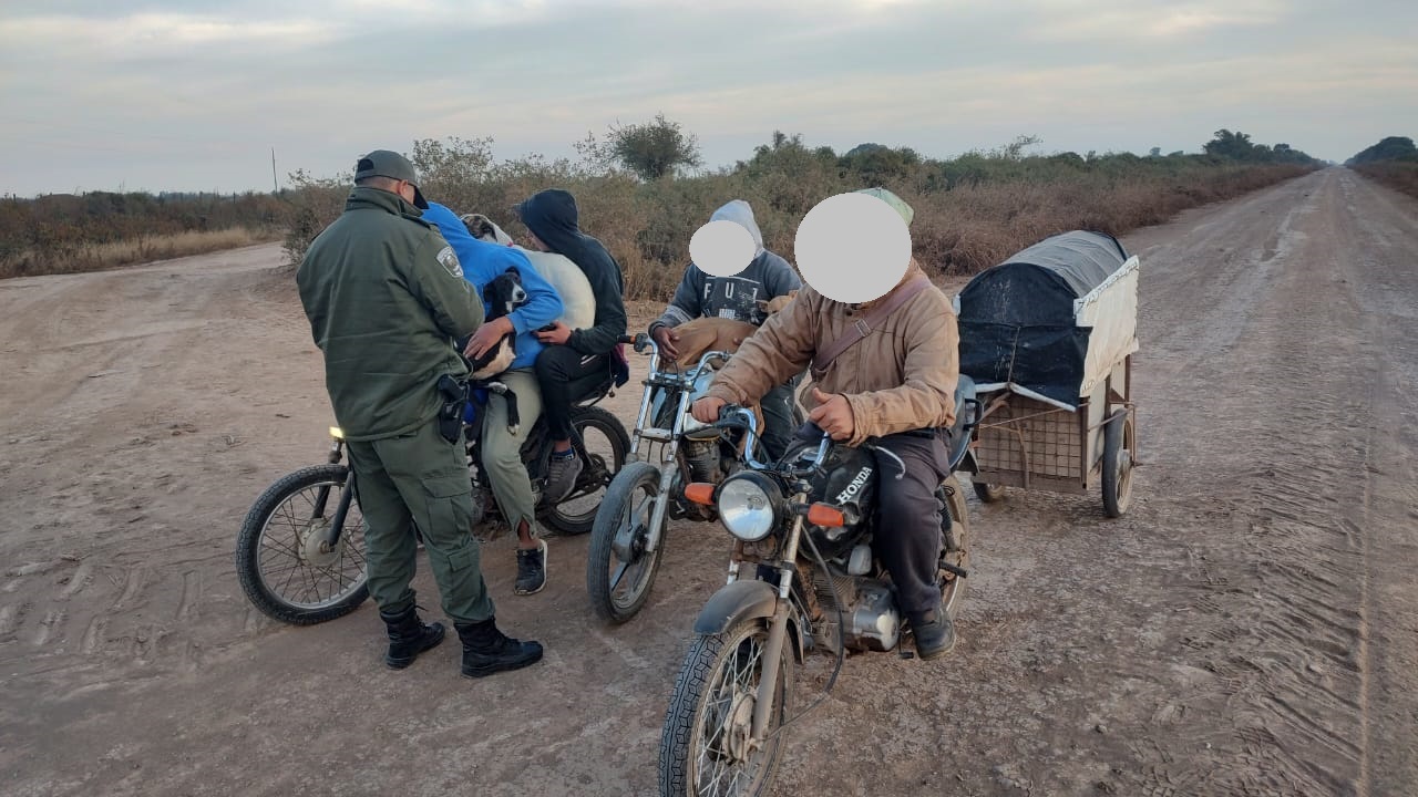 PARTE DE PRENSA: DIRECCION GENERAL DE SEGURIDAD RURAL “LOS PUMAS”