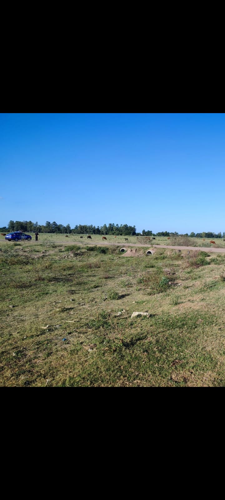 LAS TOSCAS: LA POLICIA ENCONTRO A UN MASCULINO MAYOR DE EDAD SIN VIDA