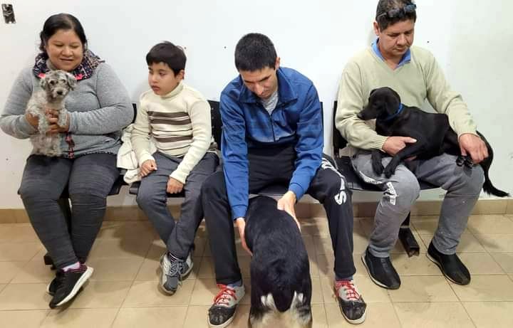 VILLA OCAMPO: ACCIONES DE LA OFICINA MUNICIPAL DE PROTECCIÓN ANIMAL