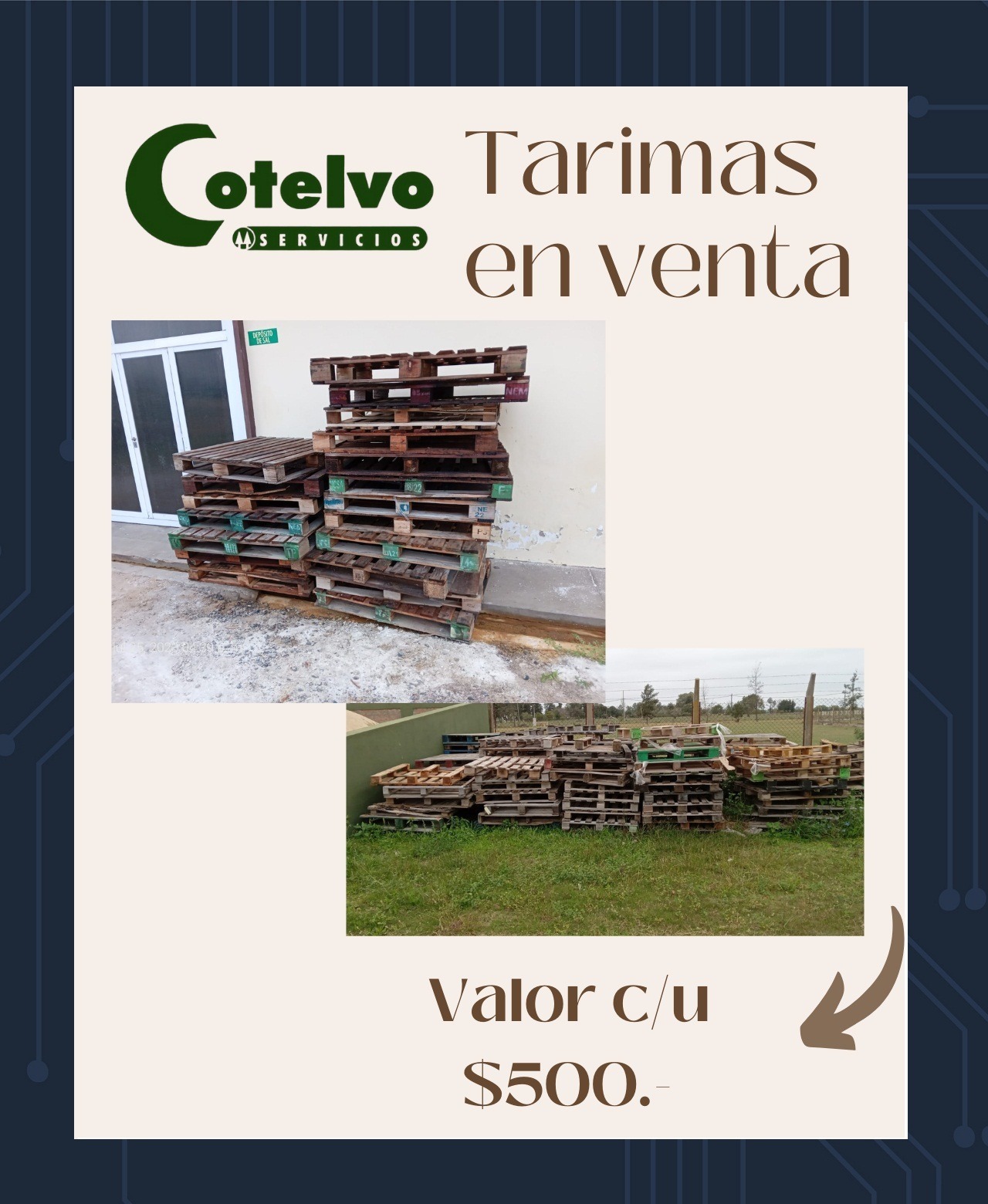 Cotelvo: 𝑻𝒂𝒓𝒊𝒎𝒂𝒔 𝒆𝒏 𝒗𝒆𝒏𝒕𝒂