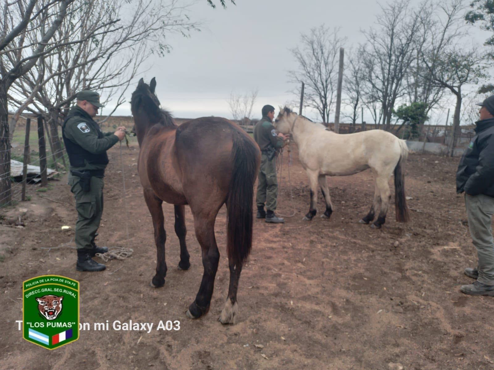 PARTE DE PRENSA: DIRECCION GENERAL DE SEGURIDAD RURAL “LOS PUMAS”