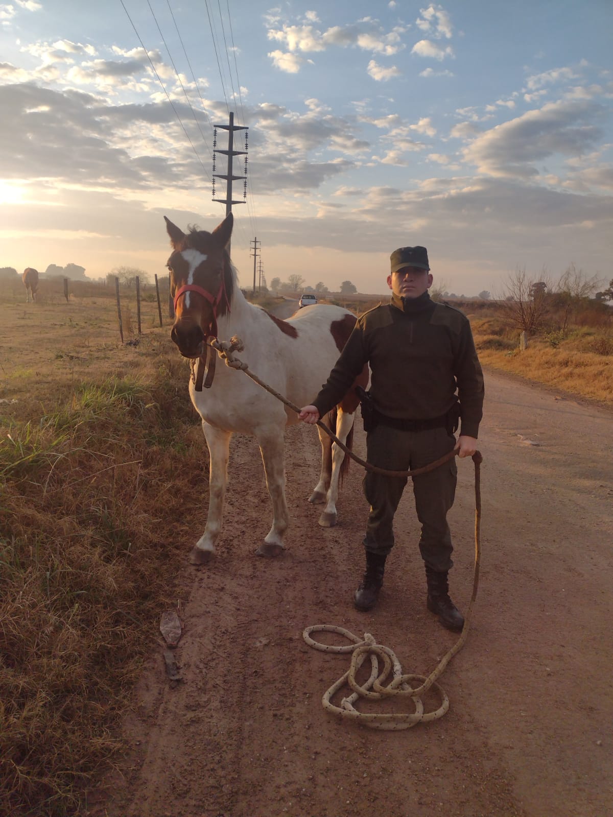 PARTE DE PRENSA: DIRECCION GENERAL DE SEGURIDAD RURAL “LOS PUMAS”