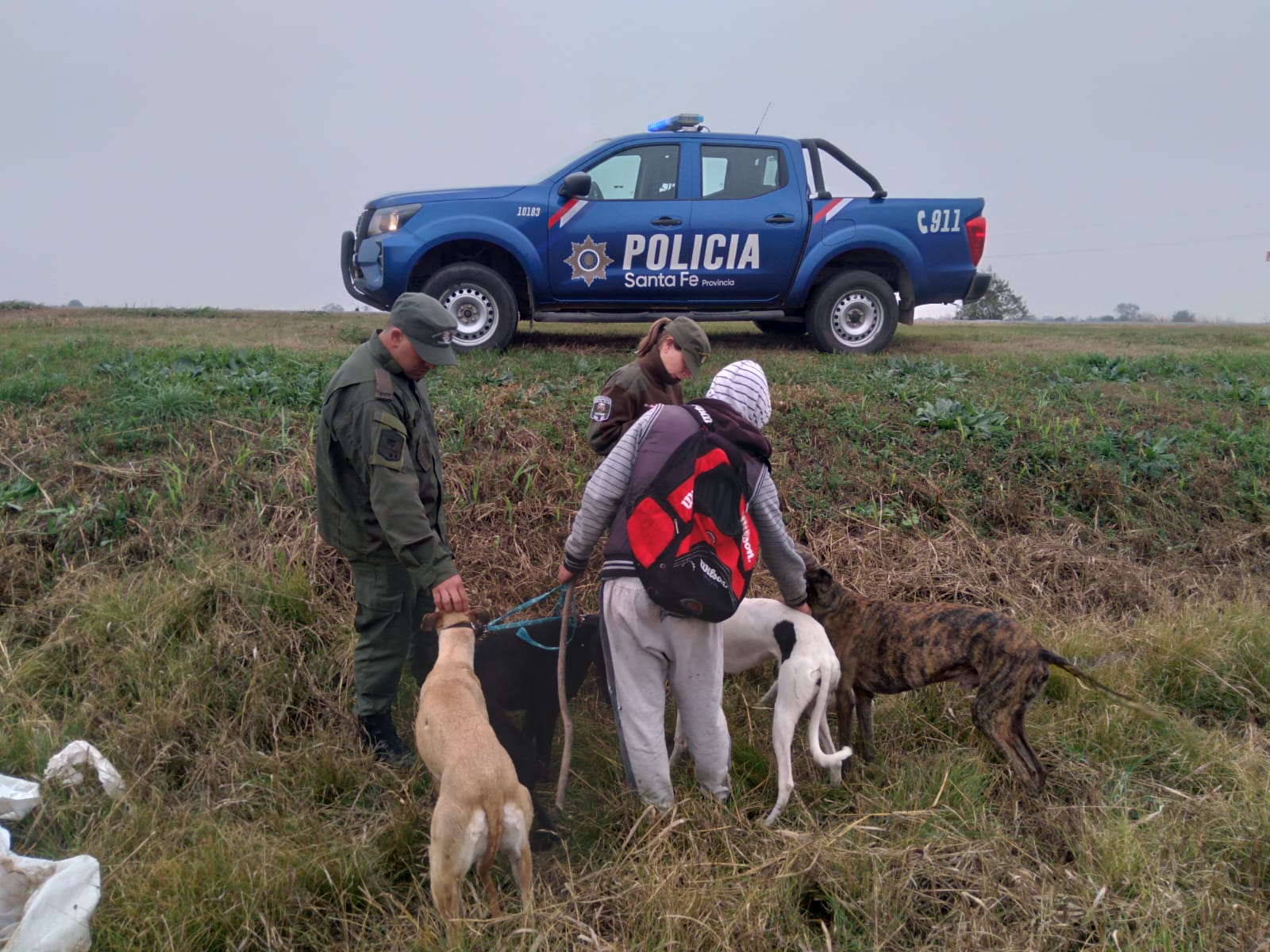 PARTE DE PRENSA: DIRECCION GENERAL DE SEGURIDAD RURAL “LOS PUMAS”