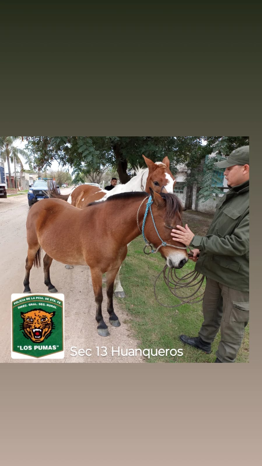 PARTE DE PRENSA: DIRECCION GENERAL DE SEGURIDAD RURAL “LOS PUMAS”