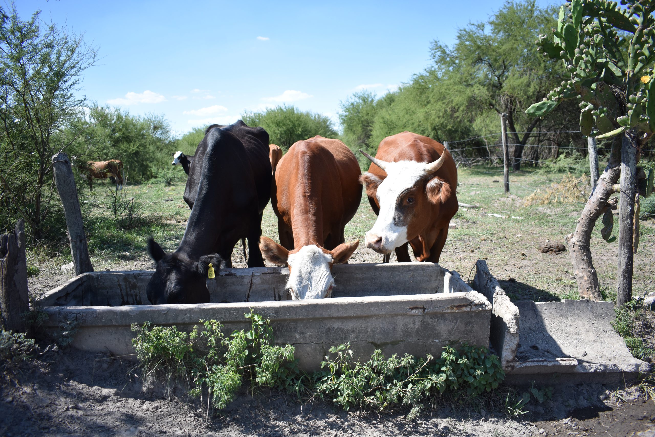 LA PROVINCIA ABRE LA INSCRIPCIÓN A NUEVOS CRÉDITOS PARA EL SECTOR AGROPECUARIO