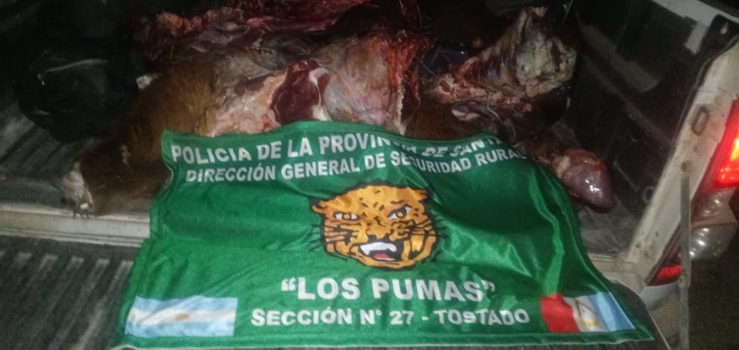 PARTE DE PRENSA: DIRECCION GENERAL DE SEGURIDAD RURAL “LOS PUMAS”