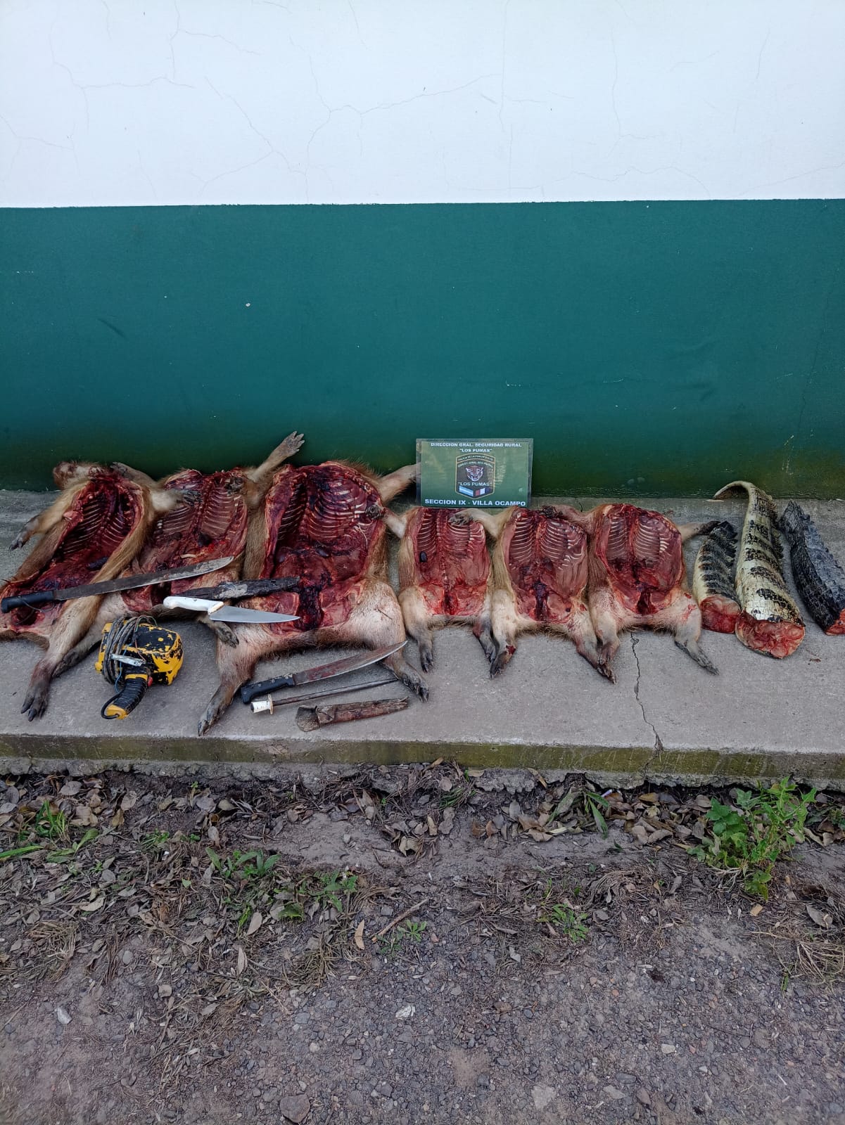 VILLA OCAMPO: Los Pumas  secuestraron arma de fuego carente de documentación, varios cartuchos e importante cantidad de producto carneo de animal silvestre.