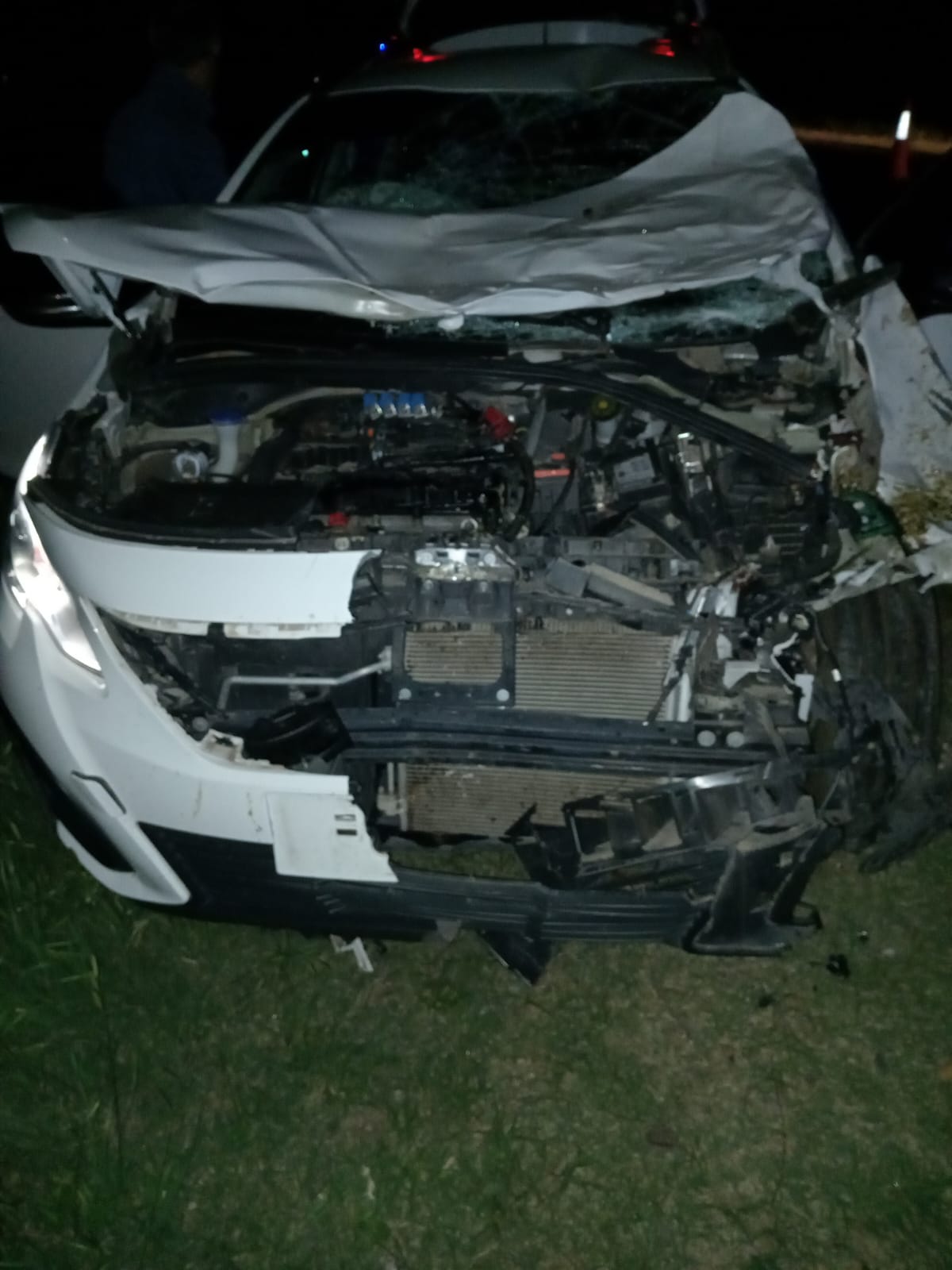 Las Toscas: RUTA 11 UN AUTO ENVISTIO A UN CABALLO QUE SE CRUZO SOBRE LA CINTA ASFALTICA .