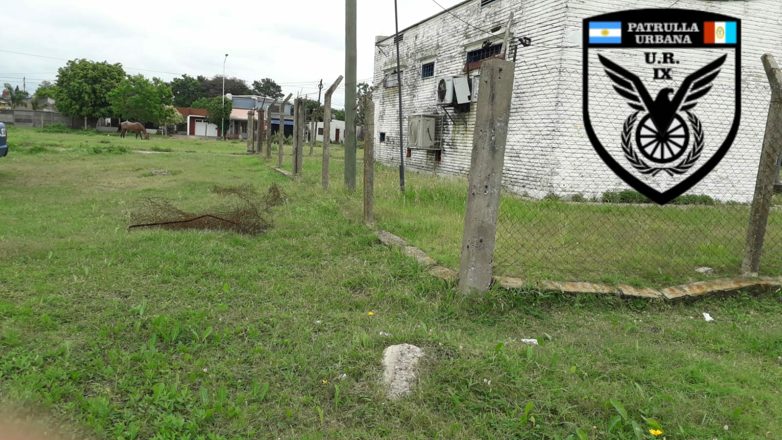 LAS TOSCAS: LO PESCARON CON LA MANO EN LA MASA