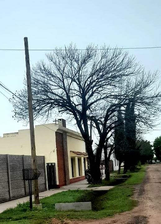 LA FIBRA ÓPTICA CUBRIRÁ LA TOTALIDAD DE LOS BARRIOS ARNO Y EL PORVENIR