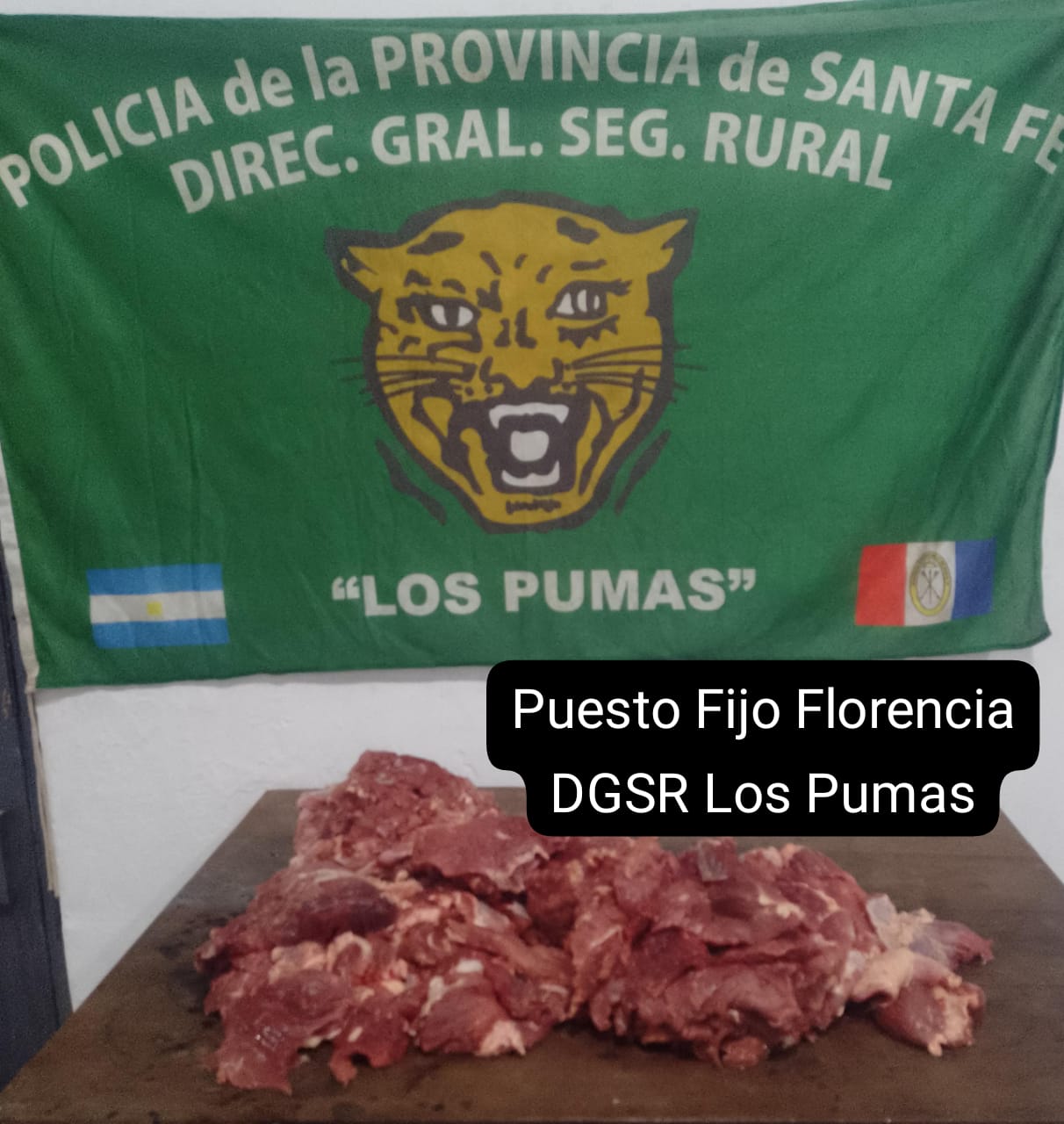 “LOS PUMAS” de Florencia, imputaron a una persona por ABIGEATO e INF. 189 BIS INC II C.P.A