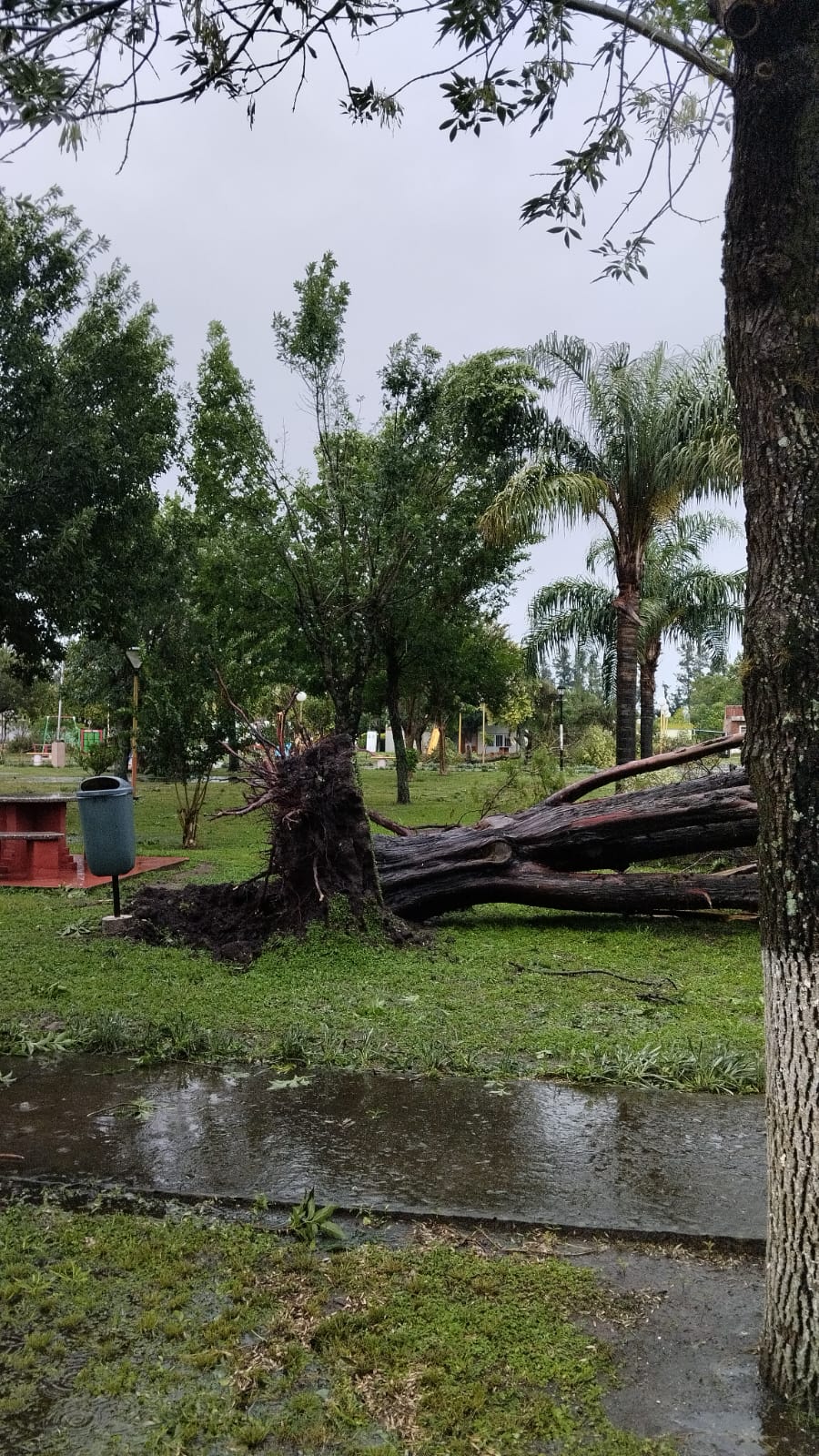 ARROYO CEIBAL: CONSECUENCIAS DE LAS INCLEMENCIAS CLIMATICAS