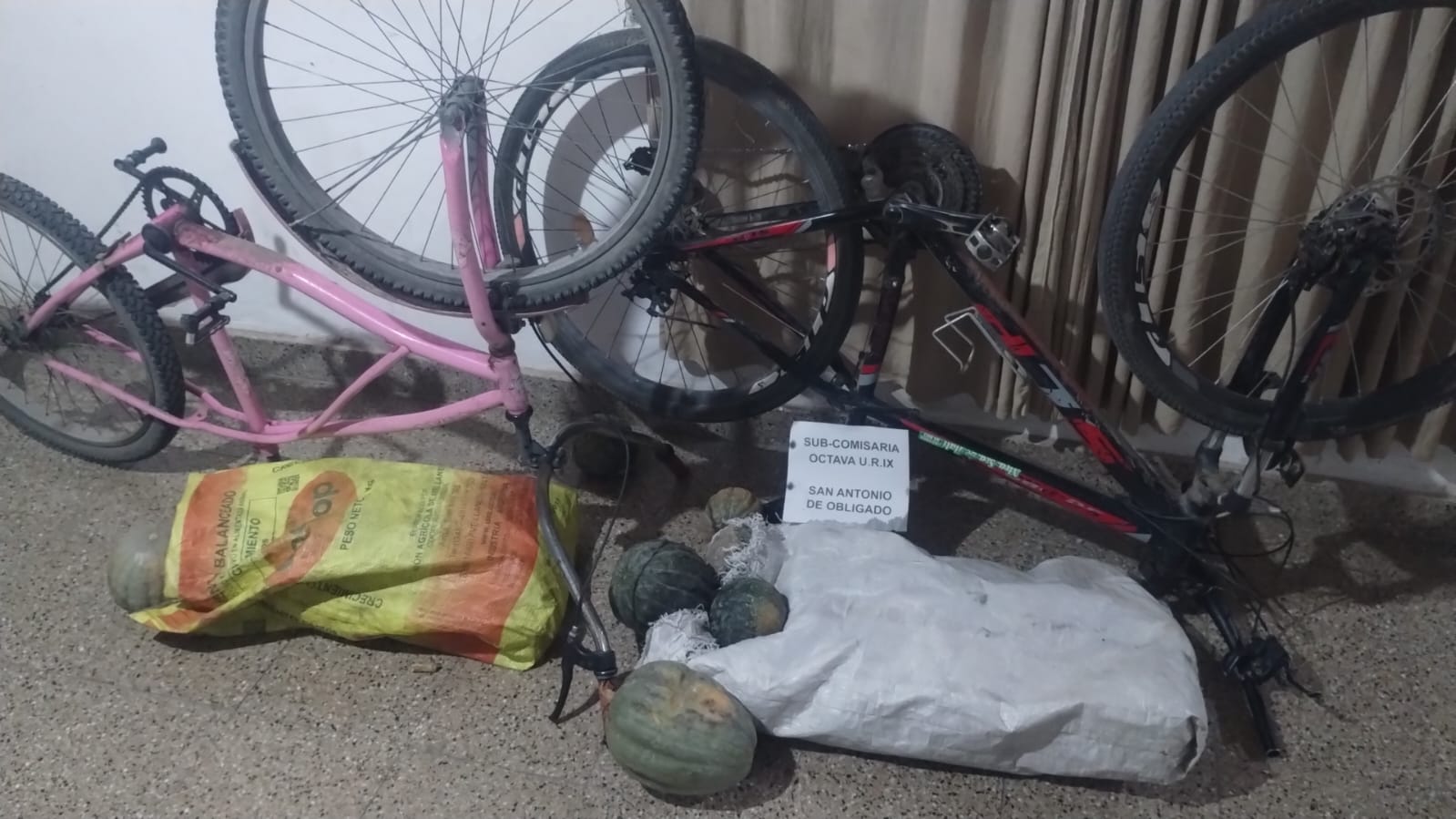 SAN ANTONIO DE OBLIGADO: HURTO