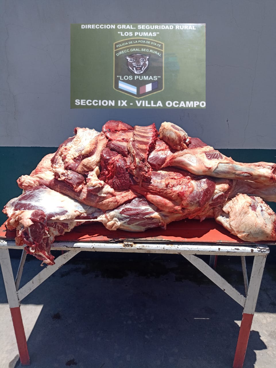 “Los Pumas “de Villa Ocampo, detuvieron a un masculino por el delito de Abigeato y secuestraron 250 kilogramos de carne de dudosa procedencia.