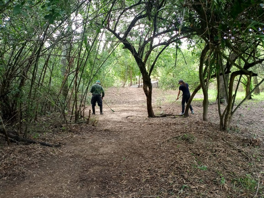 VILLA OCAMPO: LIMPIEZA EN SENDEROS DE LA RESERVA NATURAL MUNICIPAL “EL PINDÓ”
