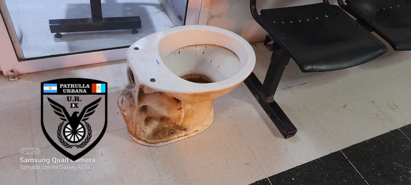 LAS TOSCAS: NI LOS INODOROS SE SALVAN.