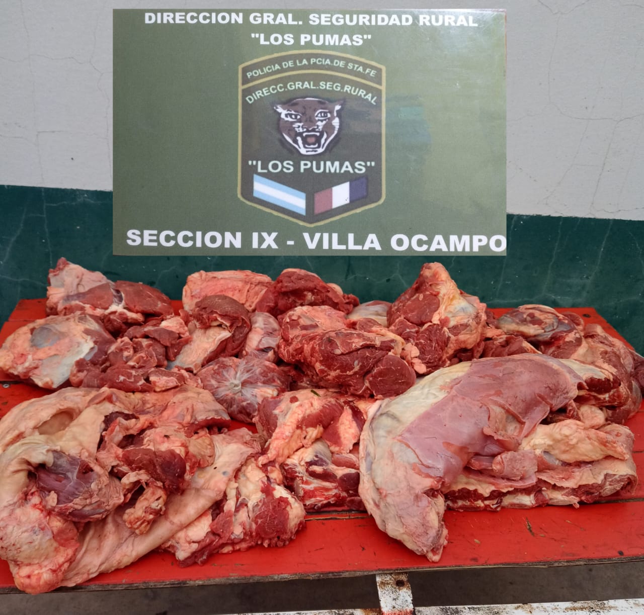 La Guardia Rural “Los Pumas” de Villa Ocampo esclarecen un ABIGEATO.