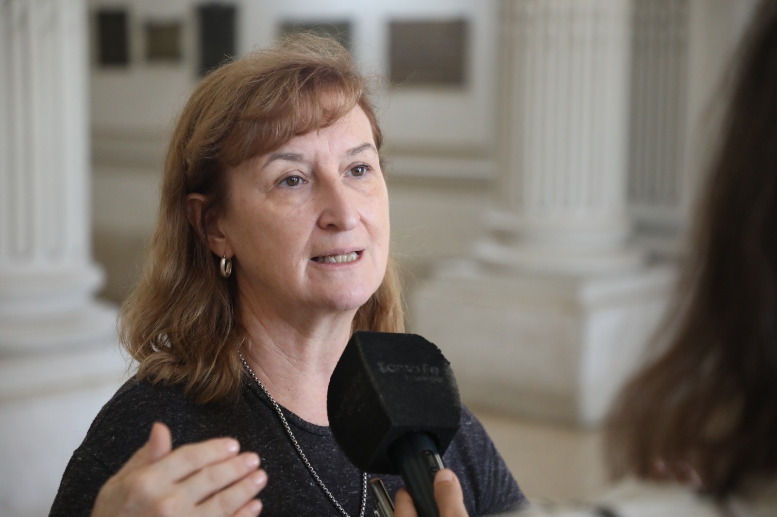 Dengue: situación en la provincia de Santa Fe