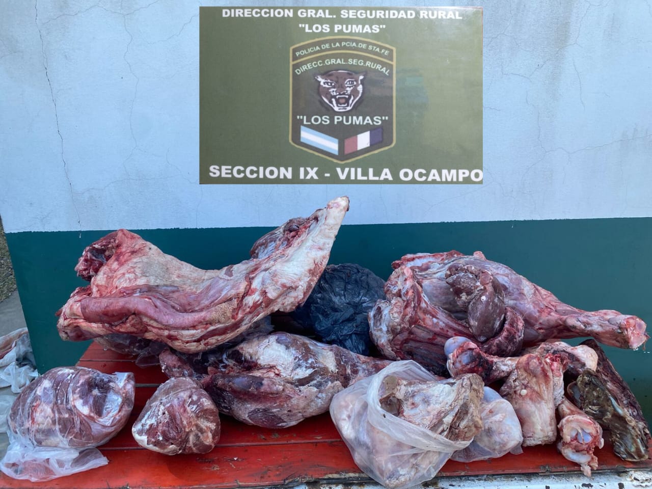 La Guardia Rural “Los Pumas” de Villa Ocampo esclareció un importante hecho de Abigeato.