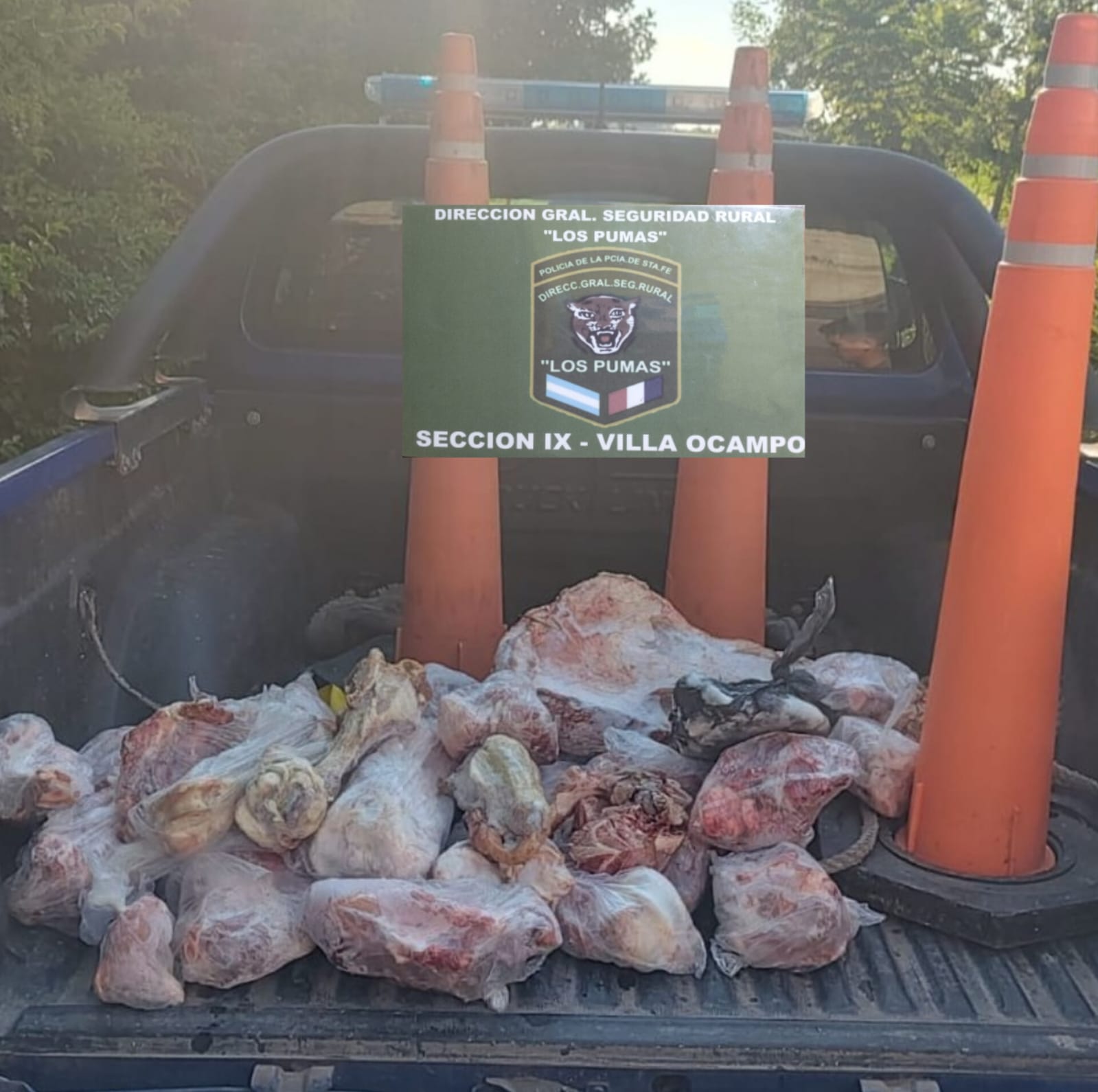 “Los Pumas” de Villa Ocampo esclarecieron un hecho de Abigeato. 