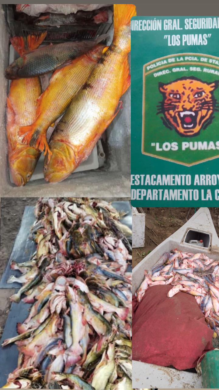 Efectivos Rurales de Ceres, San Justo, Arroyo Leyes, Puesto Fijo Florencia y Bernardo de Irigoyen toman medidas necesarias para detener la depredación de la fauna autóctona.