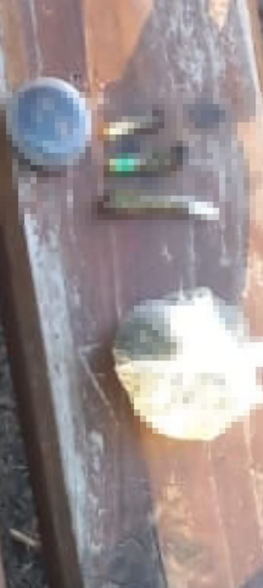 VILLA OCAMPO: PERSONAL DEL COMANDO DETUVO A UN MASCULINO CON ESTUPEFACIENTES EN SU PODER EN PLAZA BELGRANO