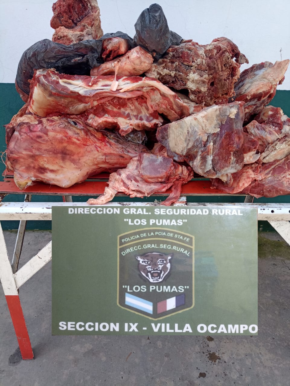 D.G.S.R. “LOS PUMAS” de Villa Ocampo, esclarecieron un hecho Abigeato. 