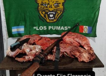 “Los Pumas” de Puesto Fijo Florencia , esclarecieron un hecho de ABIGEATO.
