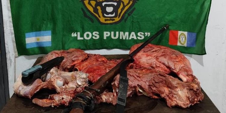 “Los Pumas” de Puesto Fijo Florencia , esclarecieron un hecho de ABIGEATO.