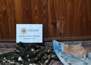 LAS TOSCAS: HURTO CALIFICADO.