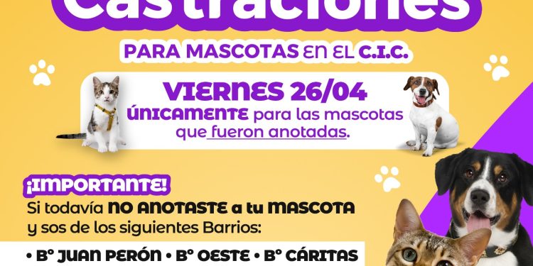 VILLA OCAMPO: CASTRACIONES DE MASCOTAS EN EL CIC