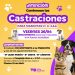 VILLA OCAMPO: CASTRACIONES DE MASCOTAS EN EL CIC