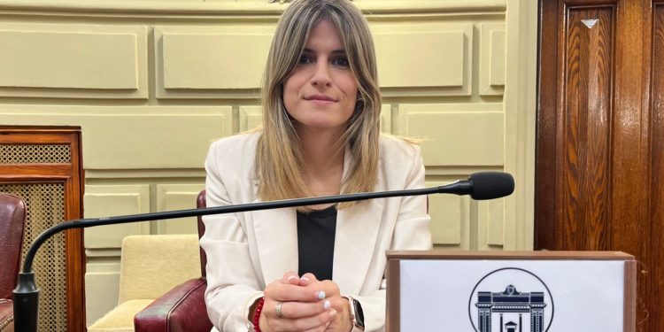 MANCINI DECLARA SU PREOCUPACIÓN EN DEFENSA DE LA CULTURA NACIONAL