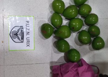 LAS TOSCAS: ATRAPADO CON LAS PALTAS EN LA BOLSA.