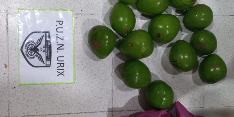 LAS TOSCAS: ATRAPADO CON LAS PALTAS EN LA BOLSA.