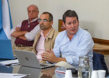 La Comisión de Protección Vegetal santafesina recomienda declarar “plaga” a la “chicharrita de maíz”