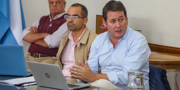 La Comisión de Protección Vegetal santafesina recomienda declarar “plaga” a la “chicharrita de maíz”